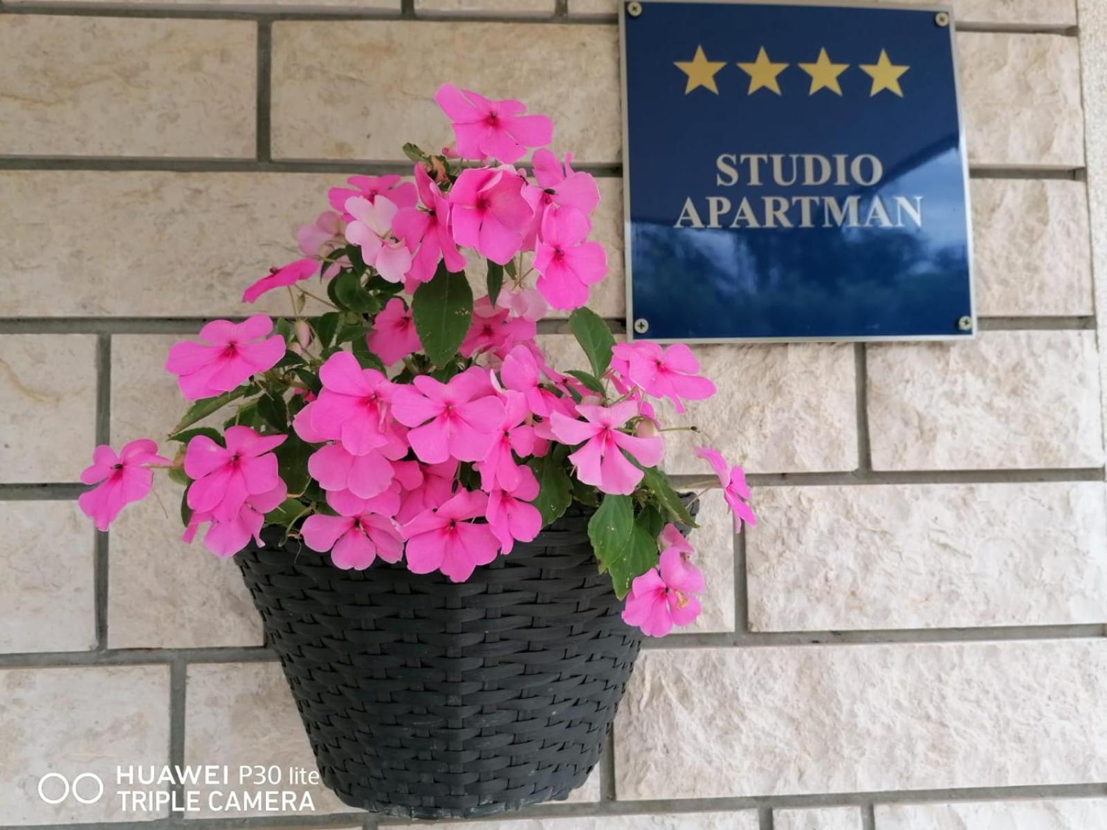 Apartment Borna Pazin Exterior photo